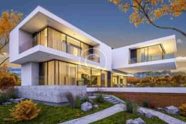 Organic elements in a contemporary living room