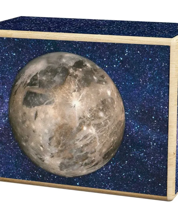 Ganymede Wooden Puzzle Box Shelf Decor