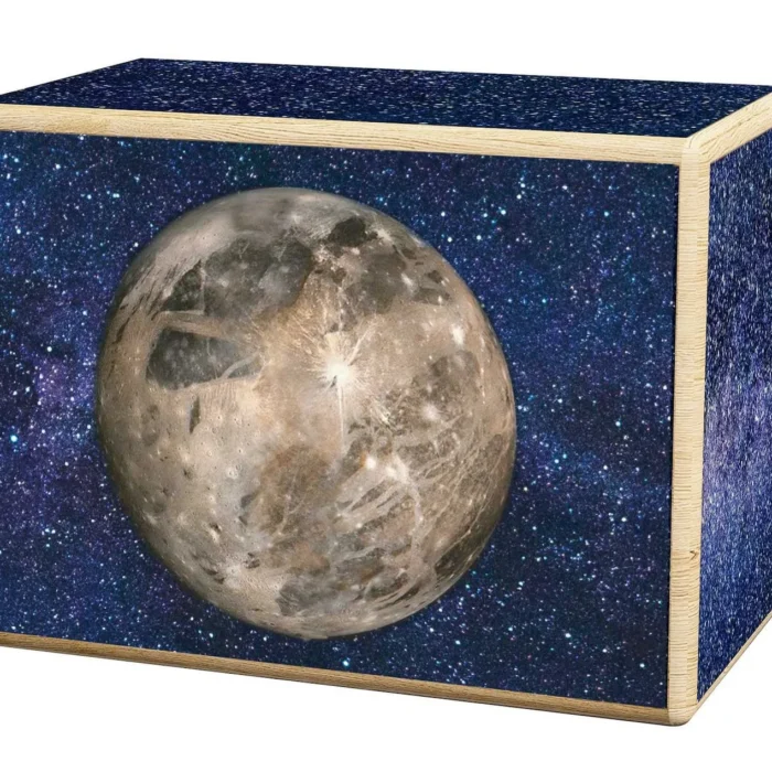 Ganymede Wooden Puzzle Box Shelf Decor